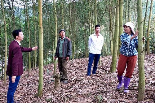 Xây dựng đảng vững mạnh để phát triển kinh tế