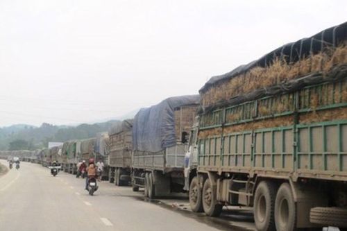 Tồn hơn 1.100 xe hàng ở cửa khẩu xuất sang Trung Quốc, ùn tắc hàng hóa gia tăng