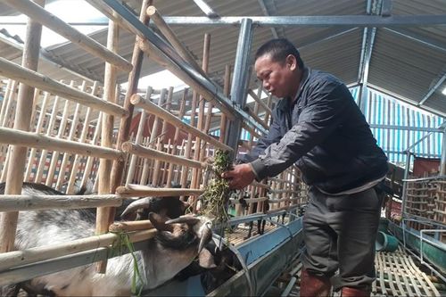 Từ bản xuống phố: Chờ 'bà đỡ'