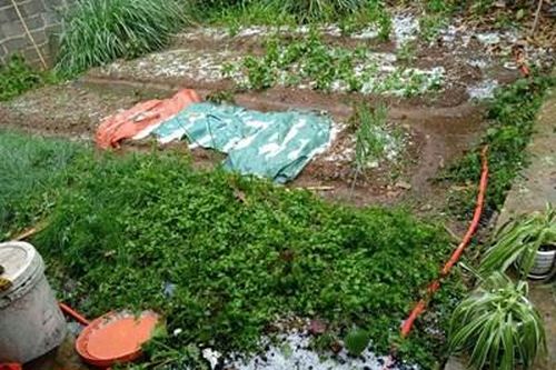 Mưa đá dữ dội ở nhiều khu vực thuộc tỉnh Điện Biên