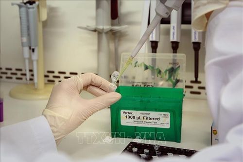 Phú Yên: Ba hành khách cùng chuyến bay với bệnh nhân mắc COVID-19 đều âm tính với virus SARS-CoV-2