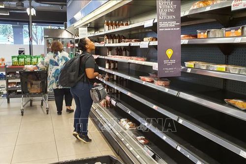 FAO: Tìm kiếm thực phẩm trong hoảng loạn có thể khiến lạm phát tăng cao