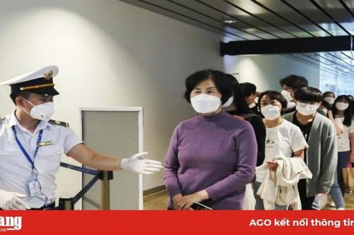 Thêm 7 ca mới ở TP. HCM và ĐBSCL, Việt Nam có 106 ca mắc Covid-19