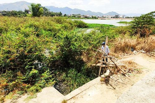 Đề nghị sớm giải quyết dứt điểm tình trạng xả chất thải ra sông Cái