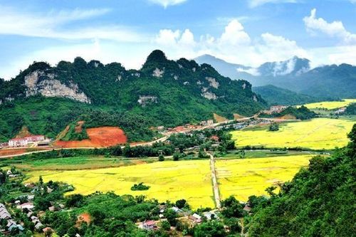 Phân bón Văn Điển: Thương hiệu đậm dấu ấn nơi vùng đất Tuyên Quang