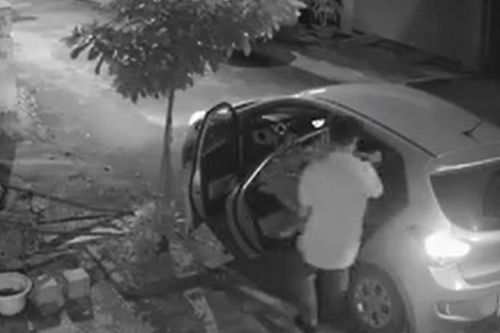 Hà Nội: Lật tẩy nhóm đối tượng chuyên trộm cắp cây cảnh ở Long Biên