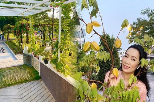 Phát 'sốt' với vườn cây xanh mướt trong biệt thự sang trọng của Trịnh Kim Chi