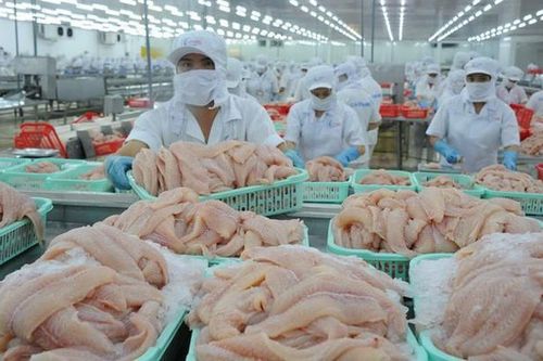 Doanh nghiệp thủy sản sụt giảm 35-50% đơn hàng vì Covid-19
