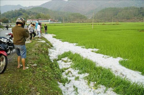 Gió mạnh, mưa đá gây nhiệt thiệt hại tại Điện Biên