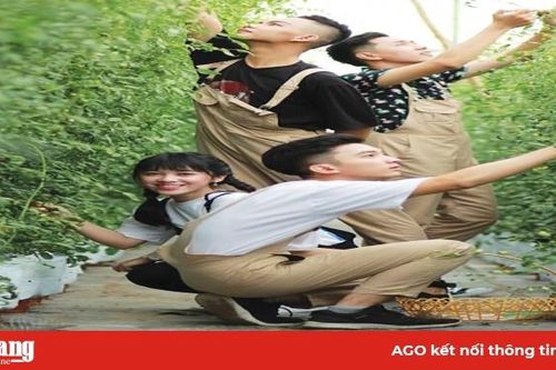 Nhiều mô hình sản phẩm du lịch mới ở An Giang thu hút khách du lịch