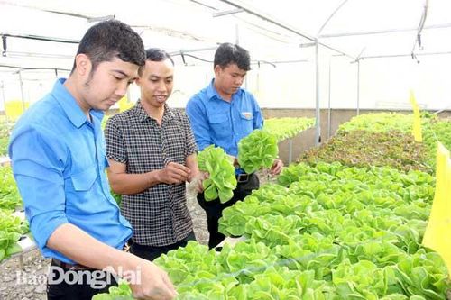 Khi người trẻ khởi nghiệp 'tại gia'