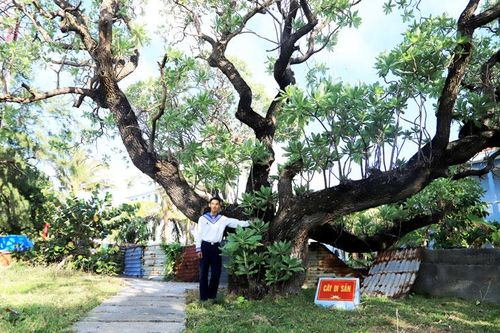 Tổ quốc nhìn từ biển (Bài 4)