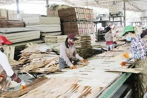 Đảng bộ xã Ấm Hạ: Dấu ấn qua một nhiệm kỳ