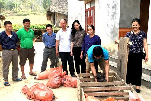 Nhân rộng các dự án khuyến nông hiệu quả
