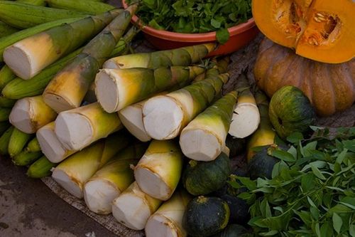 Sai lầm khi chế biến măng khiến cả nhà ngộ độc