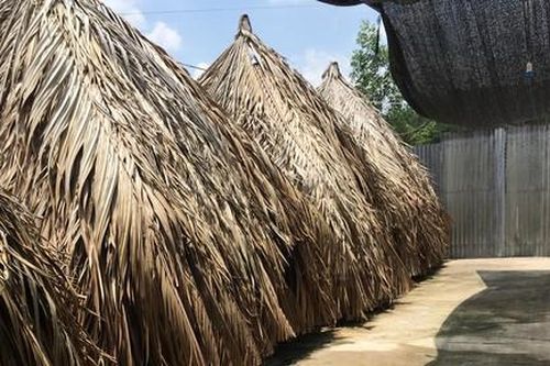 Xóa sổ gần 70 quán cà phê 'ổ nhện' ở huyện Trảng Bom
