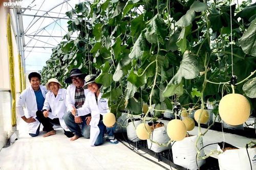 'Chật vật' vì Covid-19, doanh nghiệp Việt xoay xở thế nào?