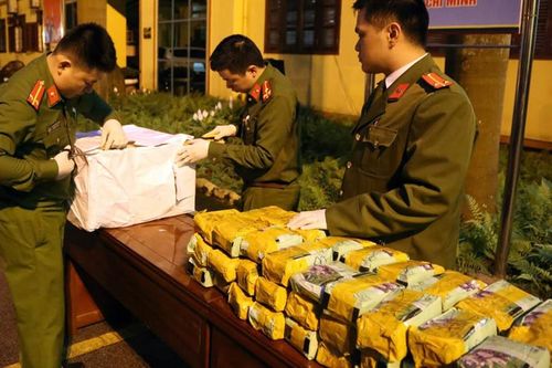 Bắt 8 người trong đường dây vận chuyển gần 500 kg ma túy