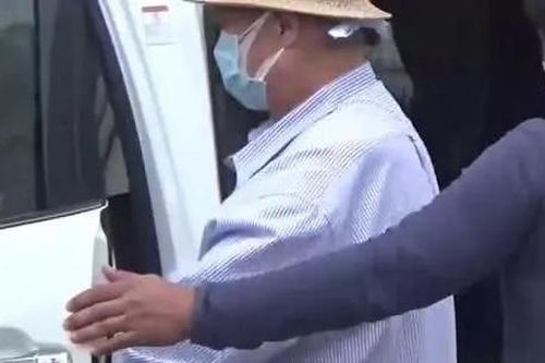 Hồng Kim Bảo đi chợ, chơi cùng cháu khi trống lịch