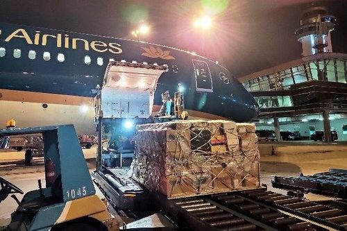 VNA miễn cước bảo hộ y tế và khẩu trang chống dịch