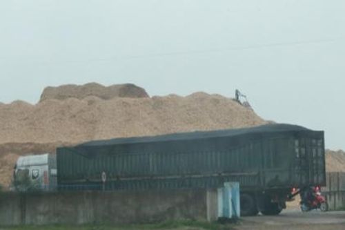 BQL Khu Kinh tế Đông Nam 'bảo kê' cho doanh nghiệp sản xuất dăm gỗ trái phép?