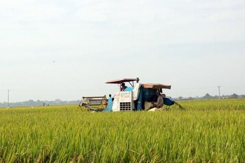 Sở NN&PTNT Hà Nội lý giải nguyên nhân gần 5.000 GCNQSDĐ nông nghiệp chưa được cấp