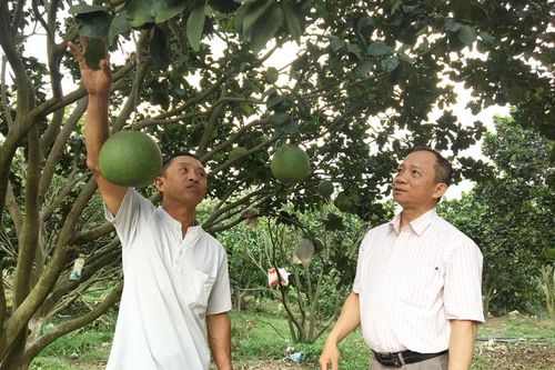 Di Linh sẵn sàng cho Đại hội Đảng bộ huyện