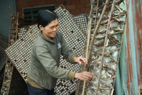 Giá kén tằm lao dốc, nông dân gặp khó
