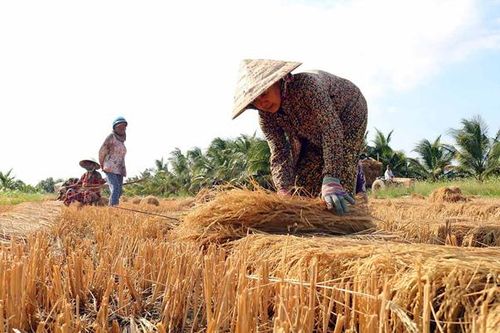 Bài đầu: Nỗi lòng người 'ngóng trời làm nông'