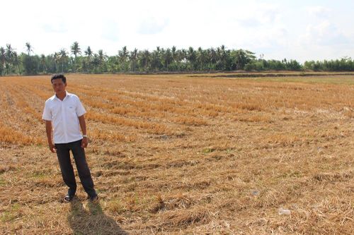 Hạn mặn ở miền Tây: Tìm phương thức thích ứng