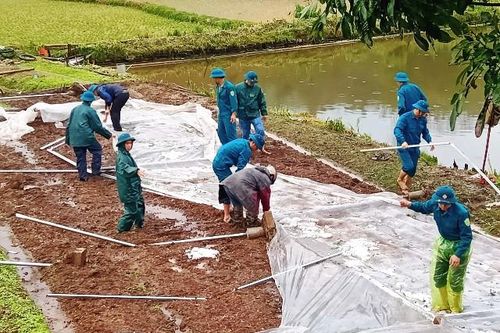 Bắc Bộ tiếp tục mưa dông, lốc sét, Lào Cai đã có 1 người chết