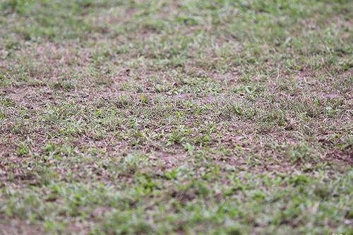 Sân Vinh quyết tâm xóa 'tiếng xấu'