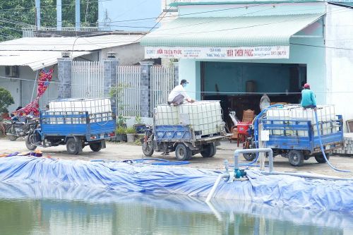 Người dân miền Tây ứng phó với hạn mặn như thế nào?