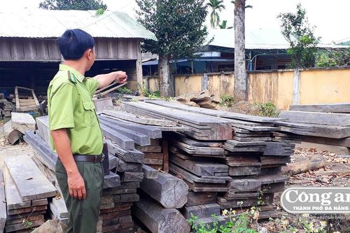 Khóa chặt 'con đường lâm sản' ở Phước Sơn