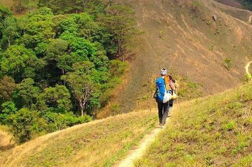 5 bí quyết chinh phục rừng Tà Năng - Phan Dũng hiểm nguy nhưng hấp dẫn