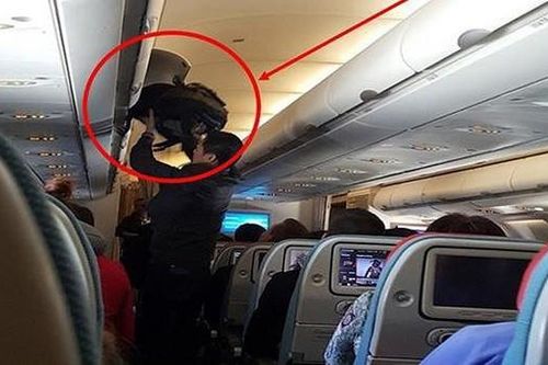 Đạo chích ngoại quốc ăn cắp tiền của hành khách cùng đi trên chuyến bay Jetstar Pacific