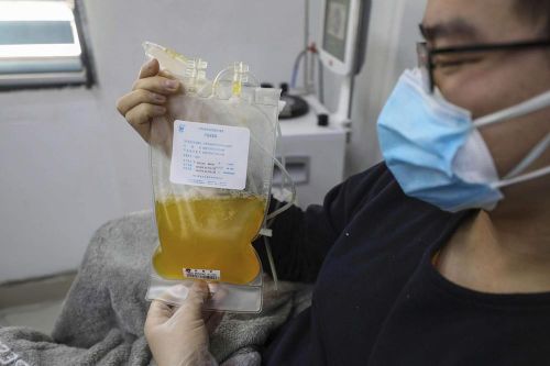 Covid-19: Mỹ dùng huyết tương điều trị, Iran 24.800 ca bệnh vẫn chưa phong tỏa