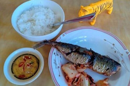 Chồng rủ vợ con đi sở thú, bị mẹ chồng đá xéo 'nhà có con cọp rồi, cần gì đi đâu'