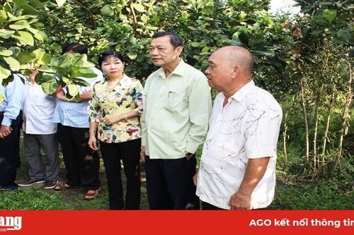 Thoại Sơn tập trung công tác chuẩn bị Đại hội Đảng bộ các cấp