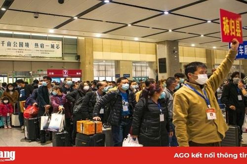 Trung Quốc đại lục không ghi nhận thêm ca nhiễm SARS-CoV-2 trong nước