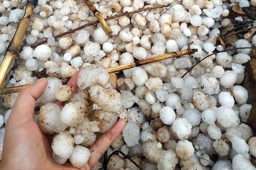 Tiếp tục xảy ra mưa đá tại huyện Nậm Pồ và Tuần Giáo