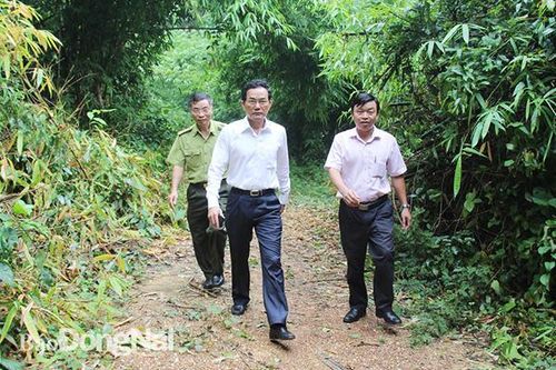 Xây dựng phương án quản lý rừng bền vững
