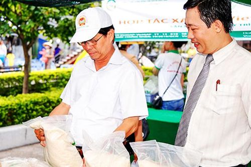 Ninh Hòa: Tập trung hỗ trợ các hợp tác xã