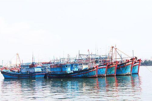 15 tàu cá vi phạm quy định về khai thác thủy sản