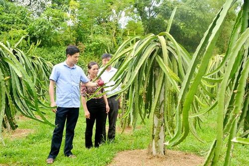 Đảng bộ xã Phú Thịnh: Một nhiệm kỳ nhiều dấu ấn