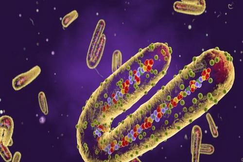 Những loại virus nguy hiểm nhất trên trái đất