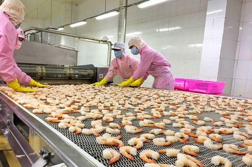 Xuất khẩu sang EU và những lưu ý cho doanh nghiệp Việt 'hậu dịch' Covid-19