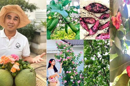 Bất ngờ về khu vườn 'trong mơ' trên sân thượng của gia đình Quyền Linh