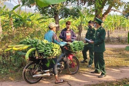 'Lá chắn sống' phòng dịch nơi biên giới Quảng Trị