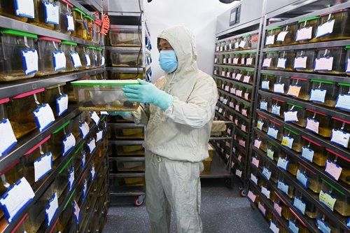 Hantavirus: Chưa lo ngại song cần hợp tác trong lĩnh vực y tế công cộng